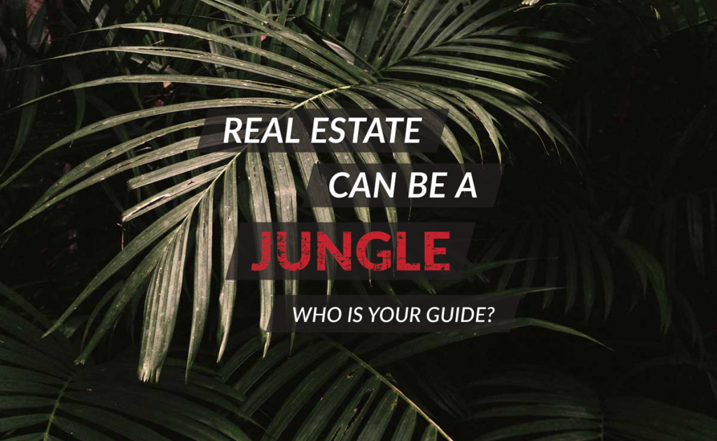 Real Estate Can Be A Jungle