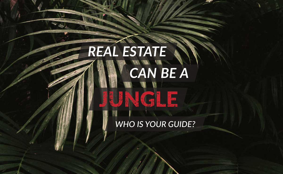 real-estate-can-be-a-jungle-mainframe-real-estate