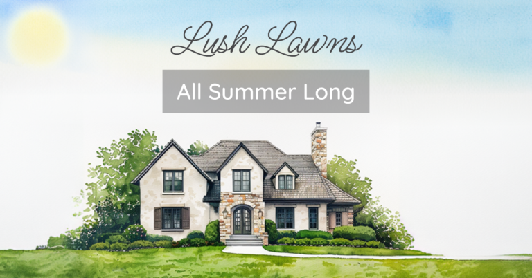 Lush Lawns All Summer Long